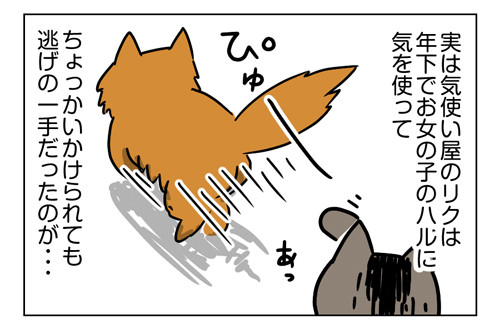 2018年わが家で買って良かったモノ第1位はこの猫用品2_03