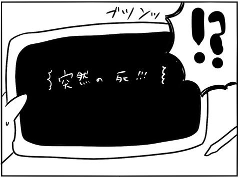 ワニシちゃん突然の死