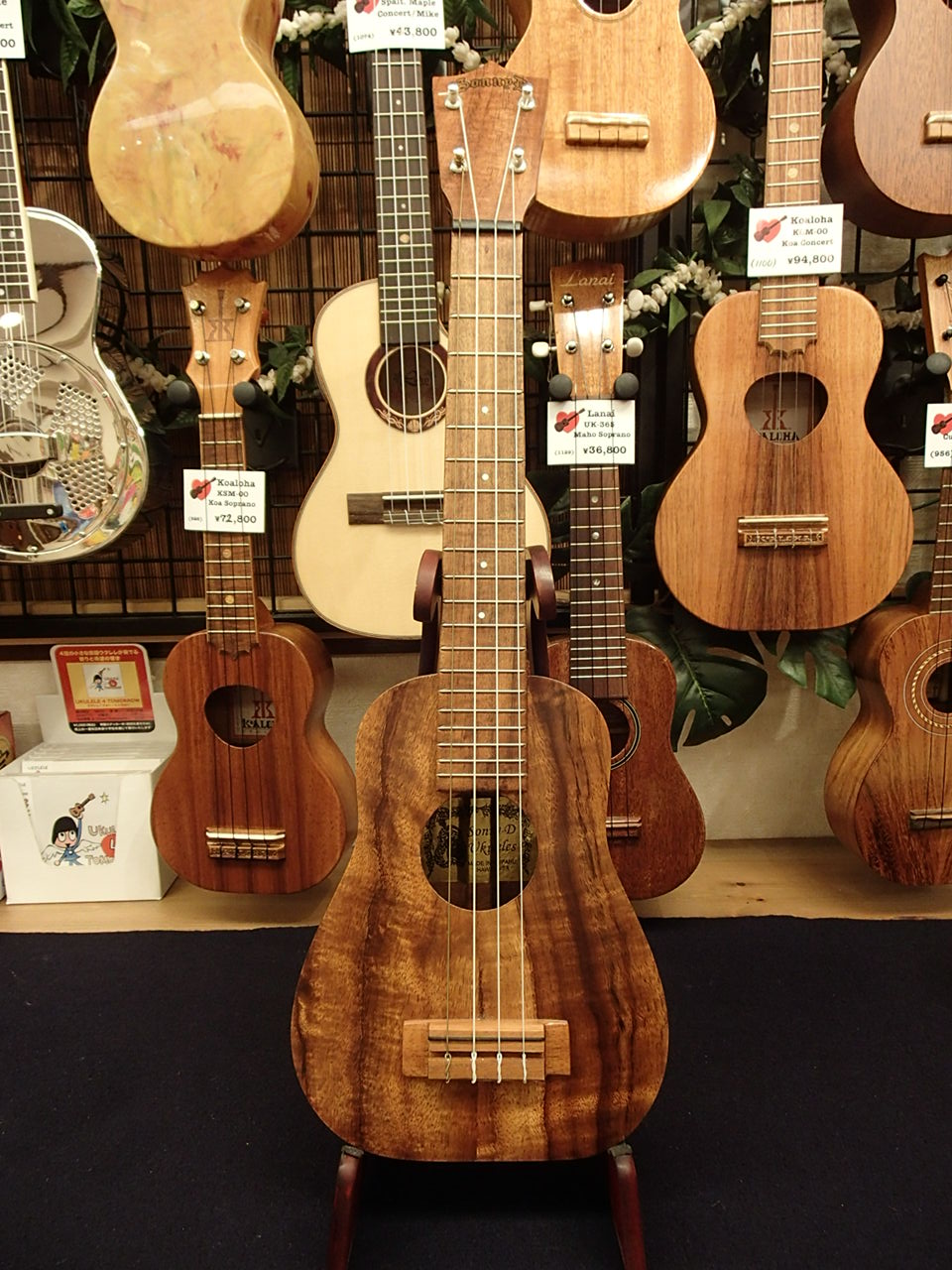 Sonny D Ohta San Bell Shape Koa Concert Longneckご紹介 ウクレレに囲まれて Ukulele Mania スタッフのブログ