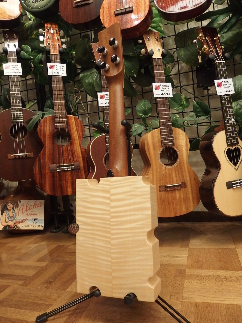 Cheezy Ukulele Sycamore Concert ウクレレに囲まれて Ukulele Mania スタッフのブログ