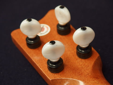 P7050029
