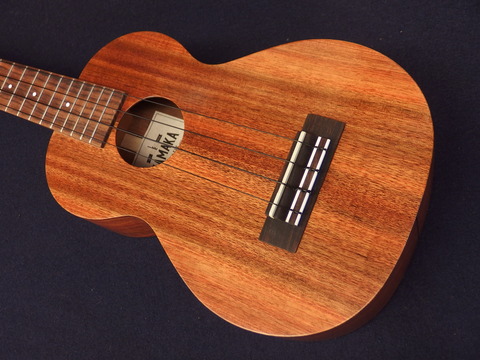 P7050003