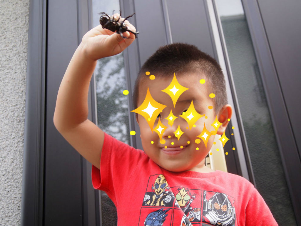 ちょけてる博士 右京動物病院ブログ