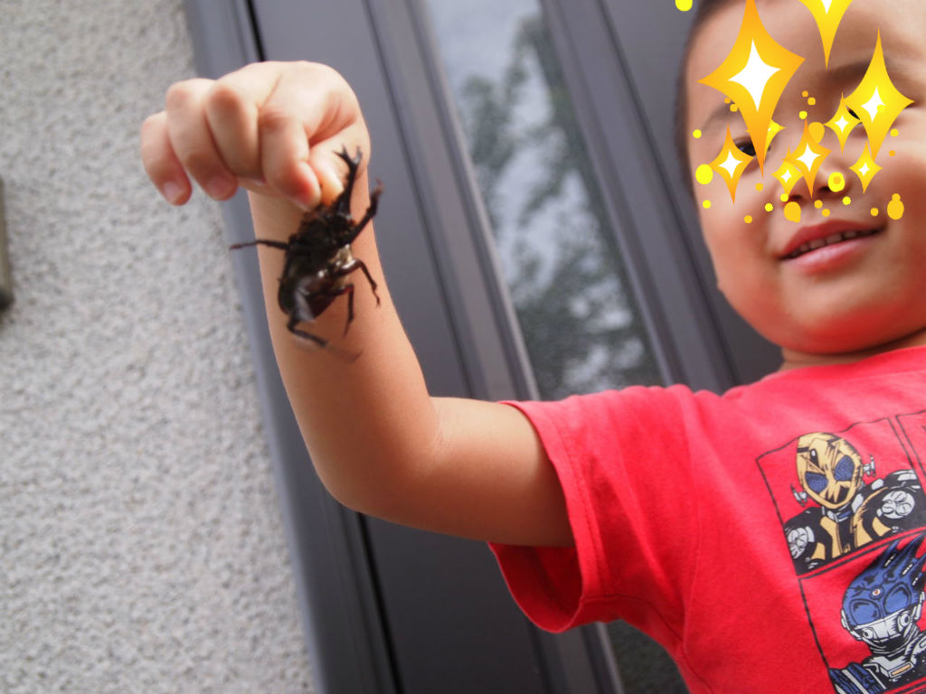 ちょけてる博士 右京動物病院ブログ