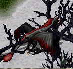 チャンピオンエリア 徳之島ボス Uo ウルティママニアuo Blog Ymt