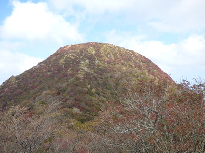 P1020557