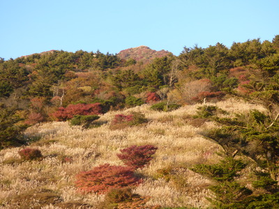 P1020578