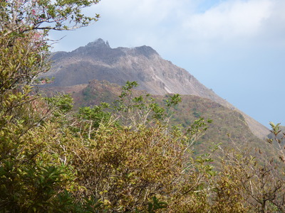 P1020554