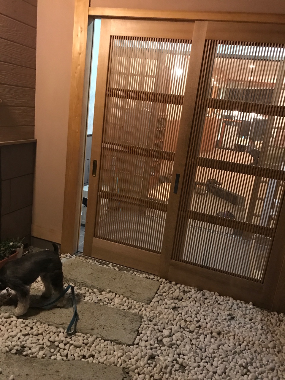那須へお泊まり 温泉宿ゆきみそう Ulustagram ウルスタグラム 那須へお泊まり 温泉宿ゆきみそう Ulustagram ウルスタグラム