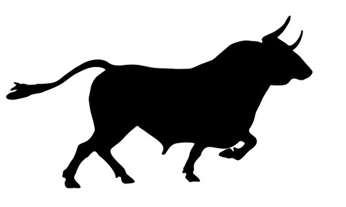 bull-894841_640