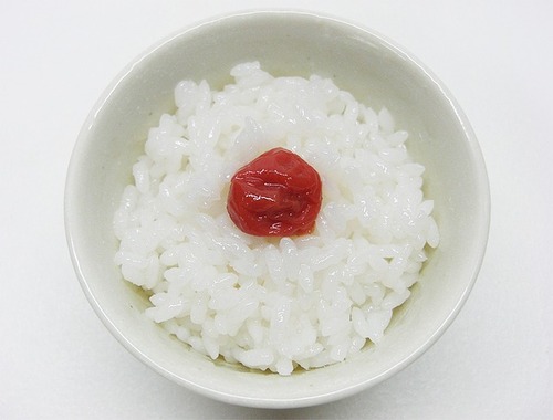rice-18786_640