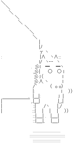 25232
