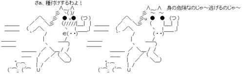 593