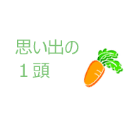 思い出の1頭