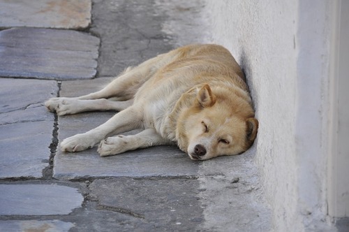 greece-169242_640