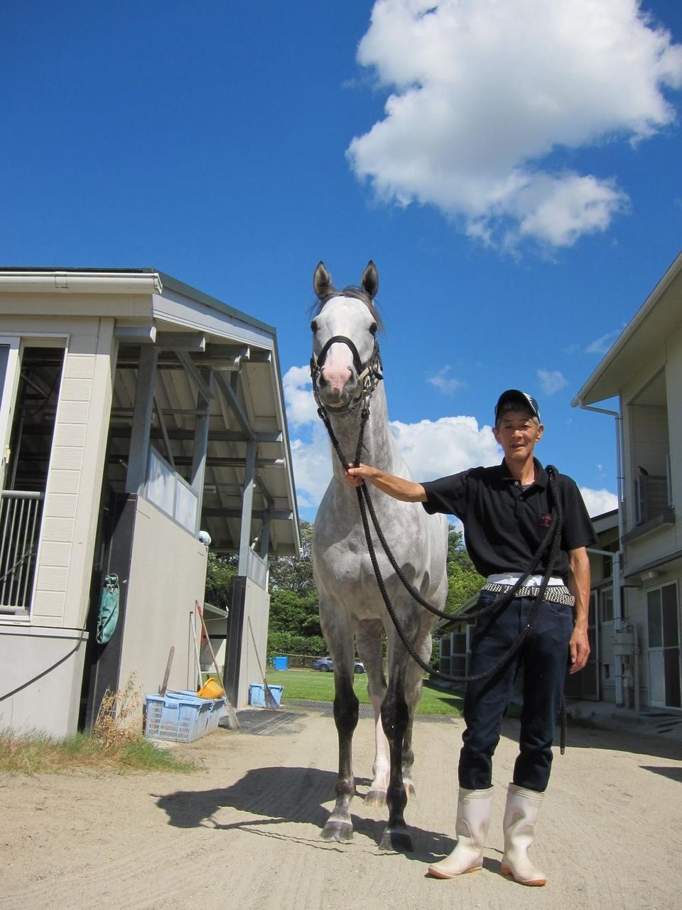 画像多数 ゴールドシップの可愛さを再確認するスレ 競馬ちゃんねる