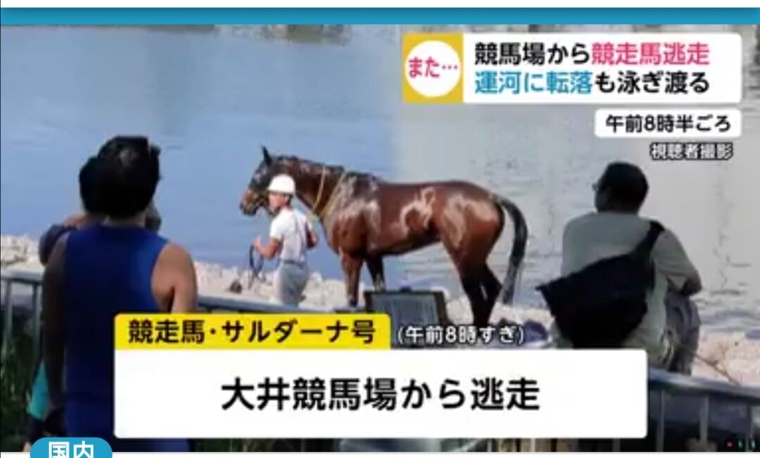サクロモンテ 姉が有名に Numberのブログ 一口馬主日記