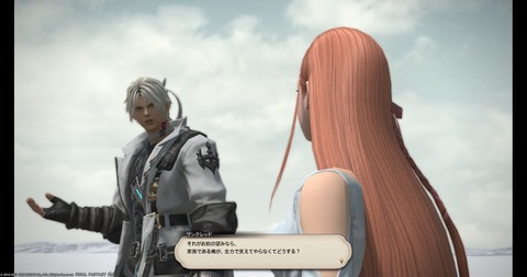 FF14_000895