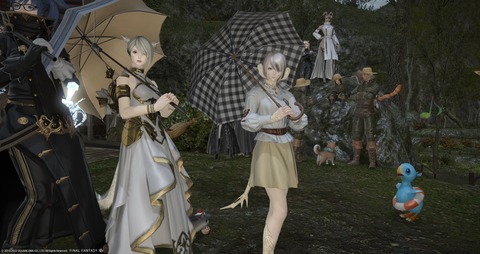 ffxiv_20220501_004001_586