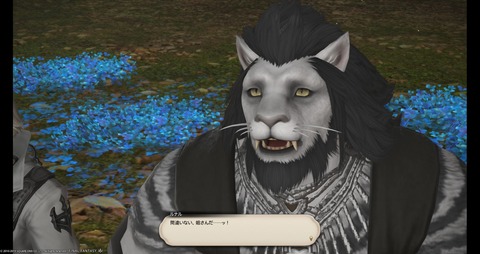FF14_000916