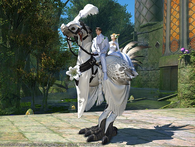 Ff14 エタバンチョコボを返納したい 持ってると そういう目 で見られてるんだろうなと思うと 馬鳥速報