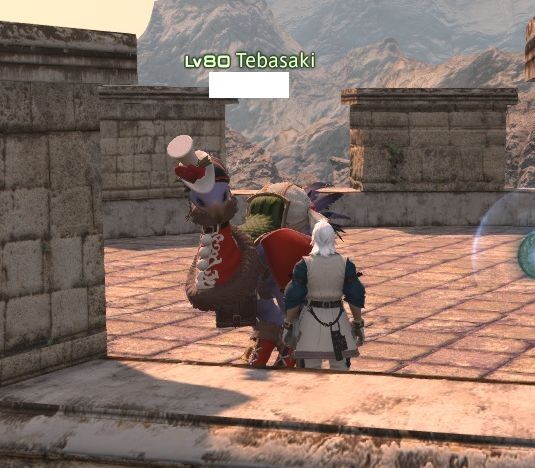 Ff14 ヤキトリ ぼんじり 鶏南蛮 つくね 手羽先 漆黒秘話6話を見た光の戦士さん マイチョコボに変な名前を付けたことを後悔ｗｗｗｗｗｗｗ 馬鳥速報