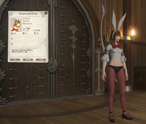 【FF14】初心者さん、冒険者小隊でバニーミコッテを狙うもピエロみたいなルガを連続で引いてキレ散らかす
