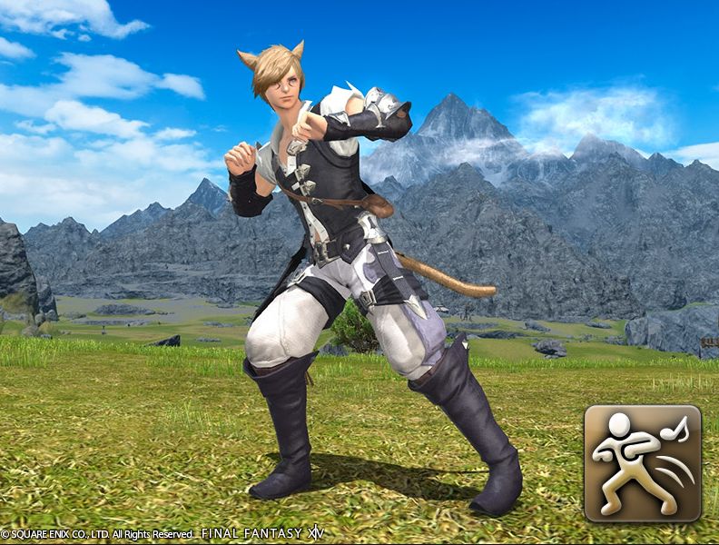 Ff14 モグステにてエモート ボックスステップ サイドステップ が販売開始 過去の降神祭のイベントアイテムなどの追加も 馬鳥速報