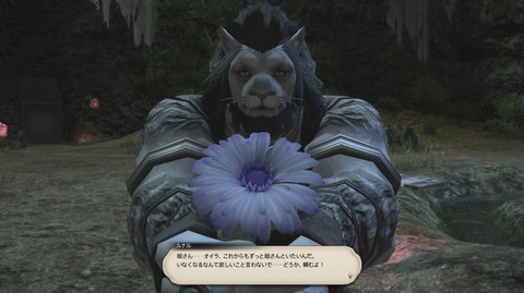 FF14_000931