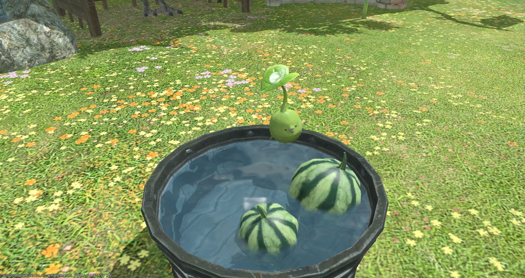 Ff14 庭具 西瓜の水桶 が高騰しすぎてるのでそろそろモグステで販売して欲しい 馬鳥速報
