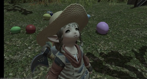 FF14_SS001249