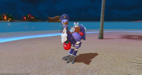 ffxiv_20220208_171438_248