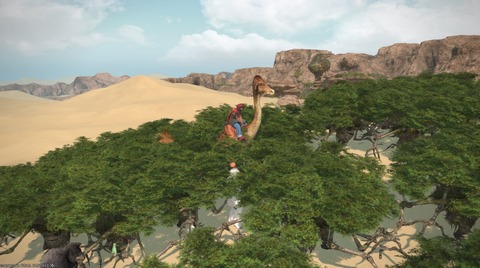 【FF14】魔獣使いたちによる緑地化計画！？南ザナのサゴリー砂漠でトレントを呼び出しまくり砂漠一帯が緑色に