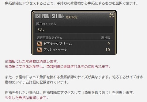 FF14_000256