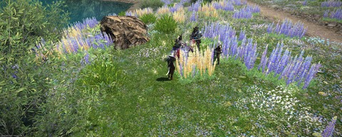 ffxiv_20240705_214544_098