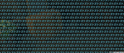 WS001203