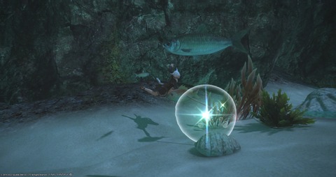 ffxiv_20220902_062408_937