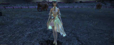 WS000584