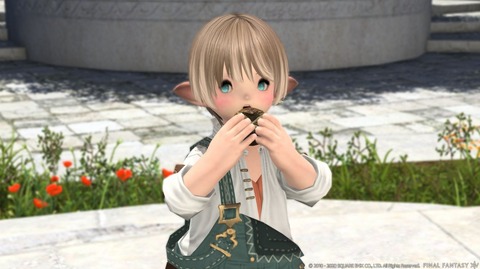 FF14_000189