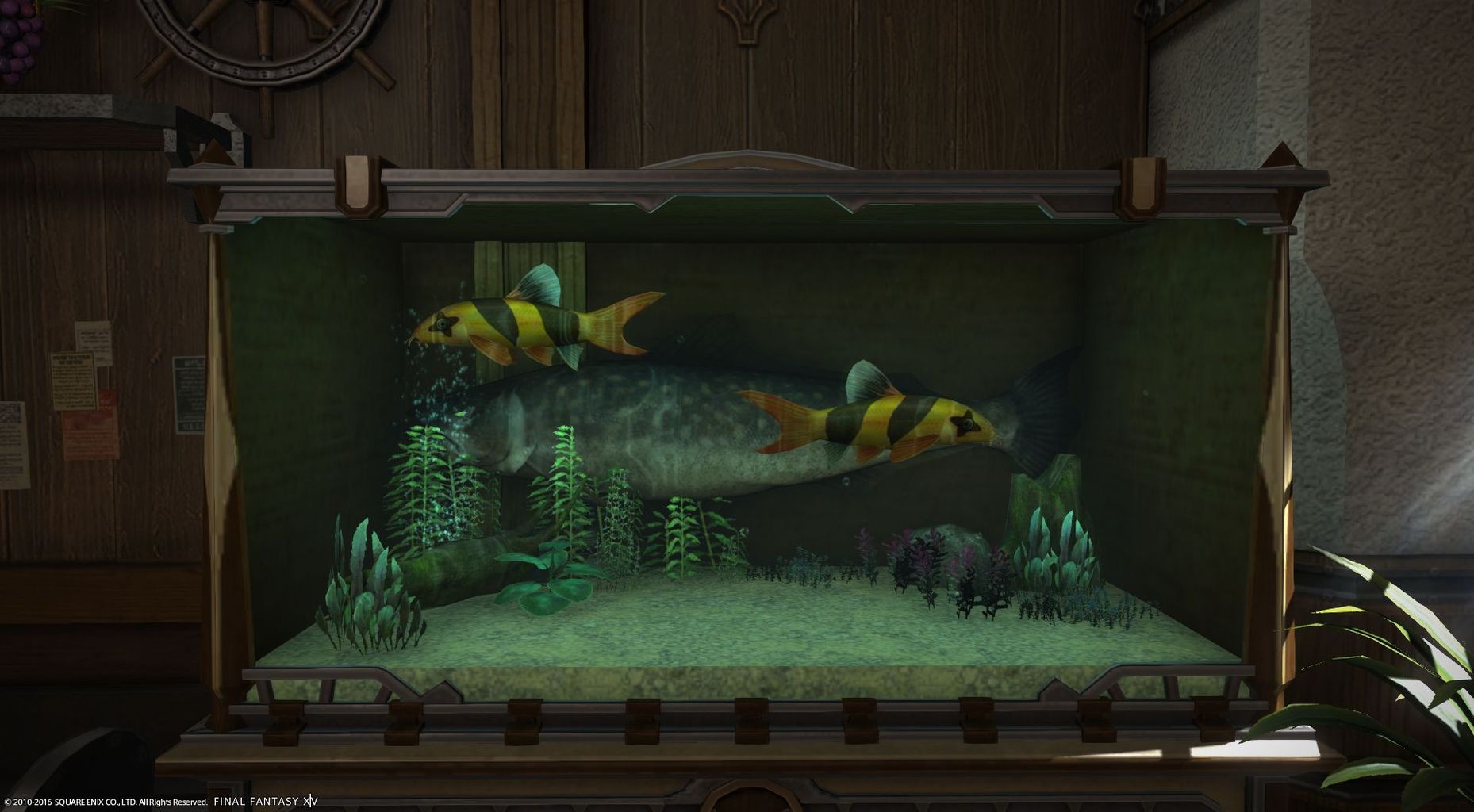 Ff14 水槽に魚だけを入れてる人のほうが少ない 調度品などを設置して個性を出したオリジナル水槽ssまとめ 馬鳥速報