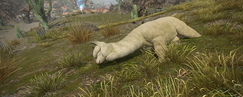ffxiv_20240726_051216_839