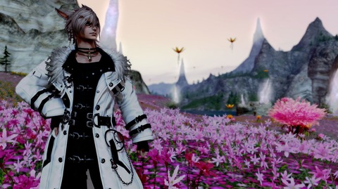 FF14_000383