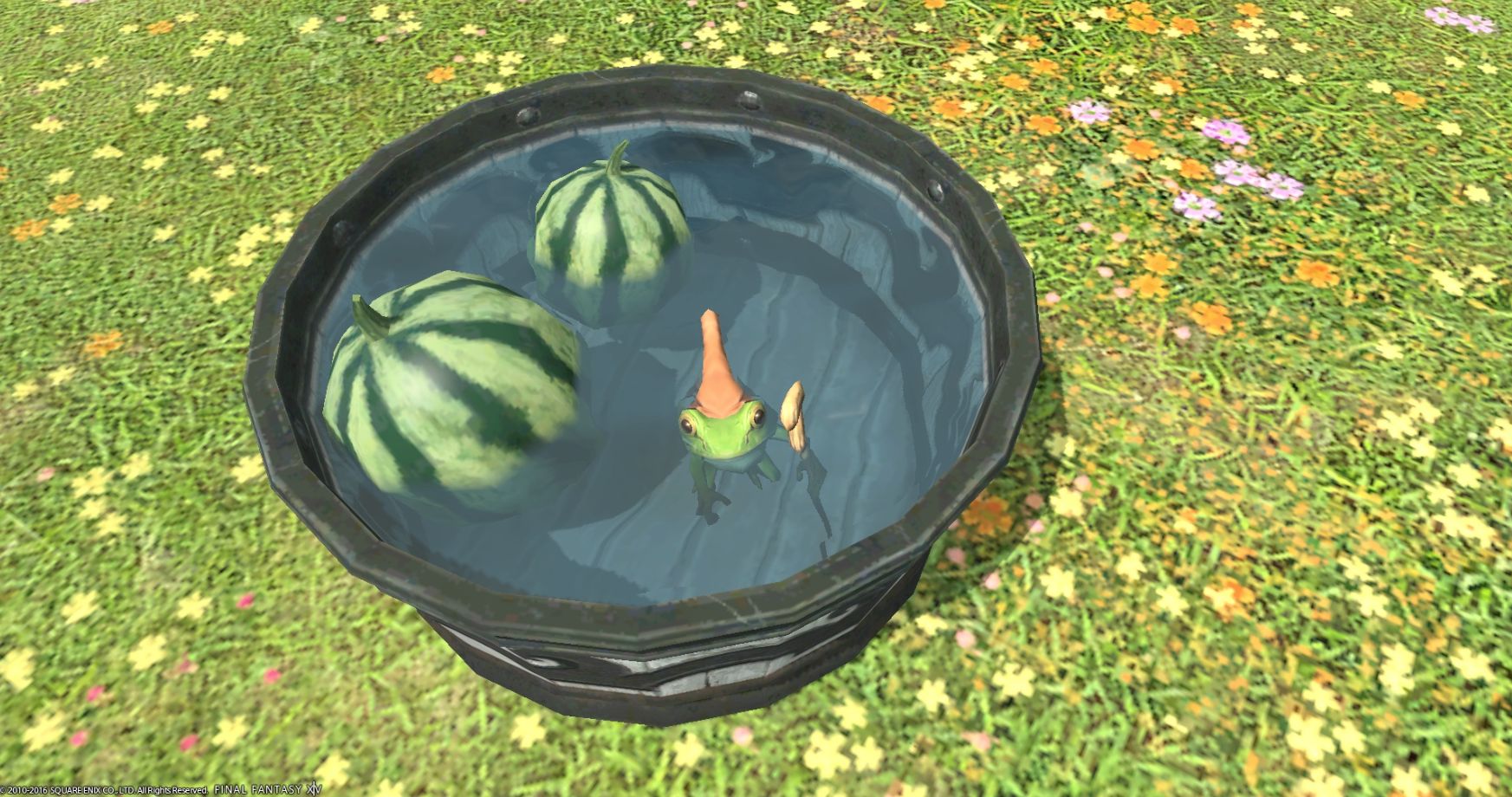 Ff14 庭具 西瓜の水桶 が高騰しすぎてるのでそろそろモグステで販売して欲しい 馬鳥速報