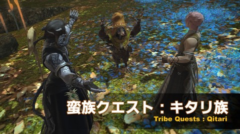 FF14_000086