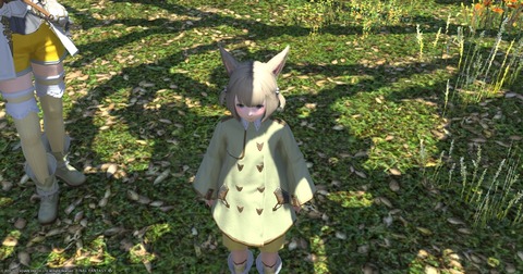 FF14_000732