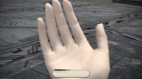 WS000133
