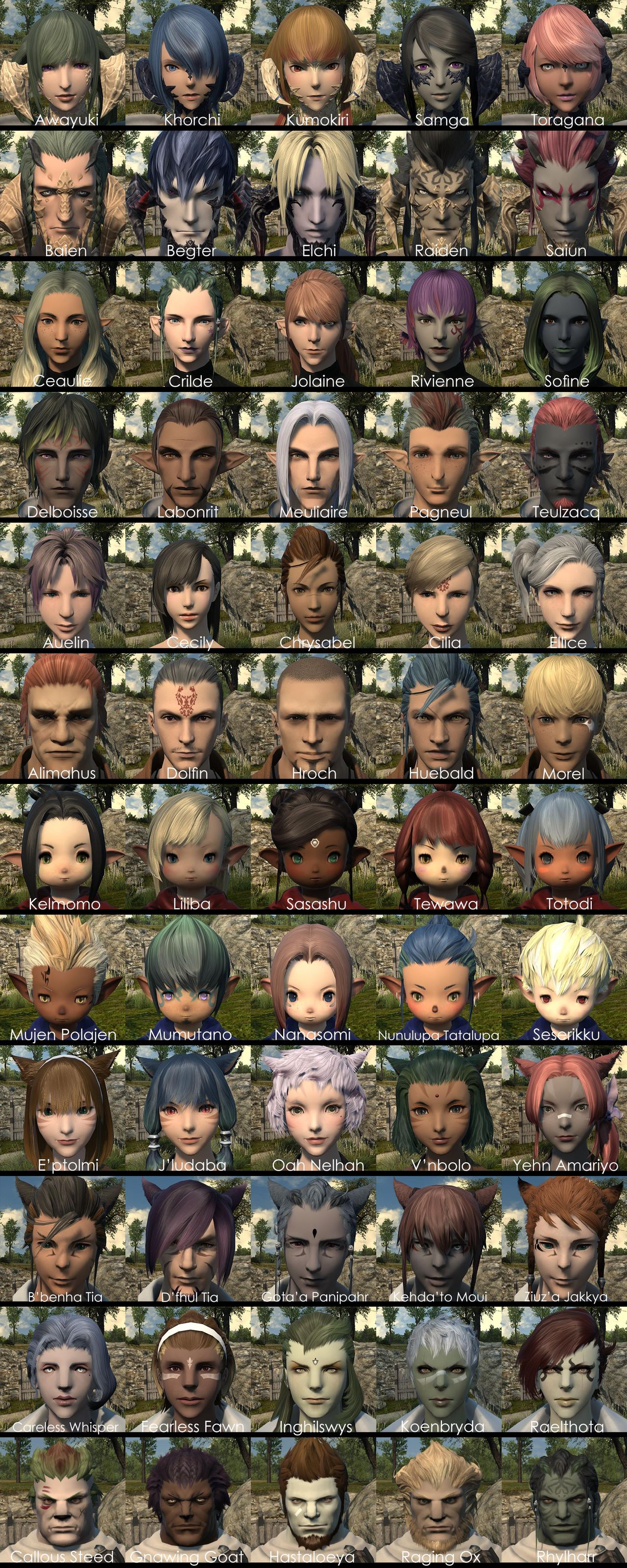 Ff14 被り物をしているキャラはこんな顔だった 海外ユーザーが 冒険者小隊 の志願兵60名のキャラメイクをしたssを公開 馬鳥速報