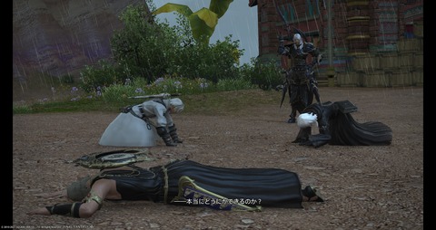 ffxiv_20211203_230256_684