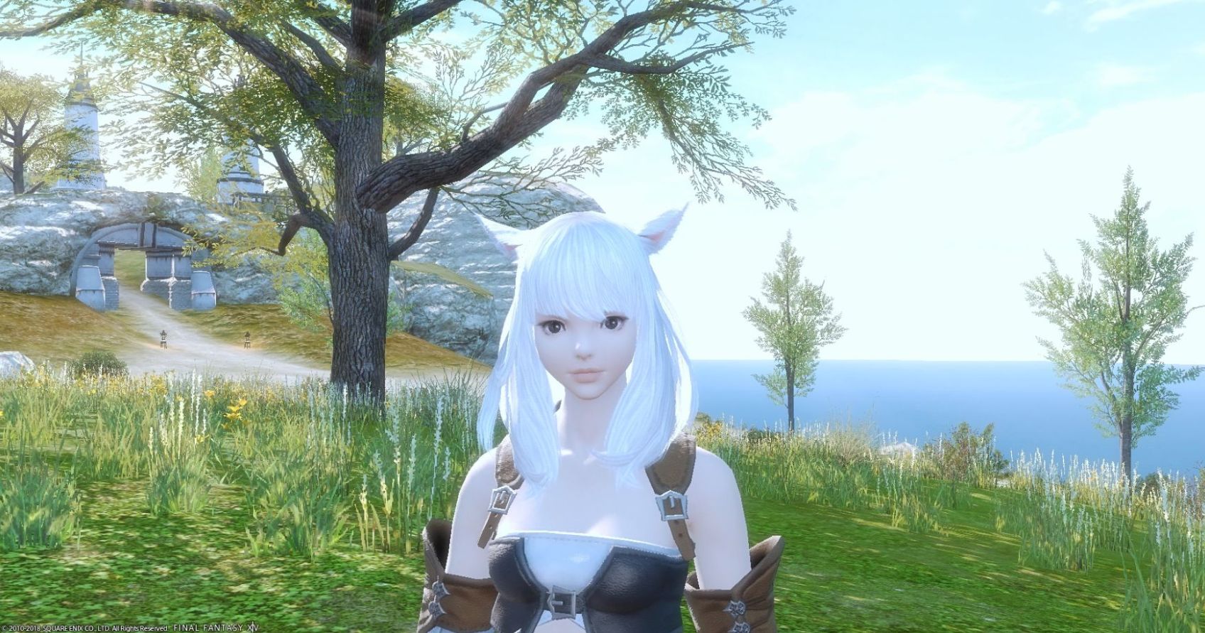 Ff14 ゆるふわヘアーのミコッテは最高に可愛いけど Fcに入ってきたらその可愛さゆえに警戒される 馬鳥速報