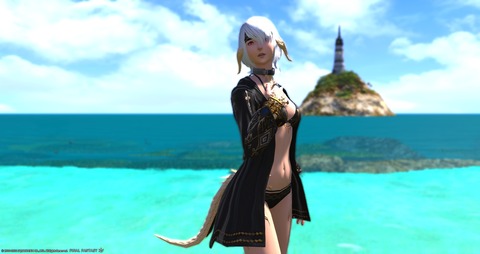 ffxiv_20220810_171035_986